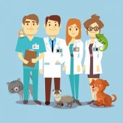 veterinary in foreign countries for indian students